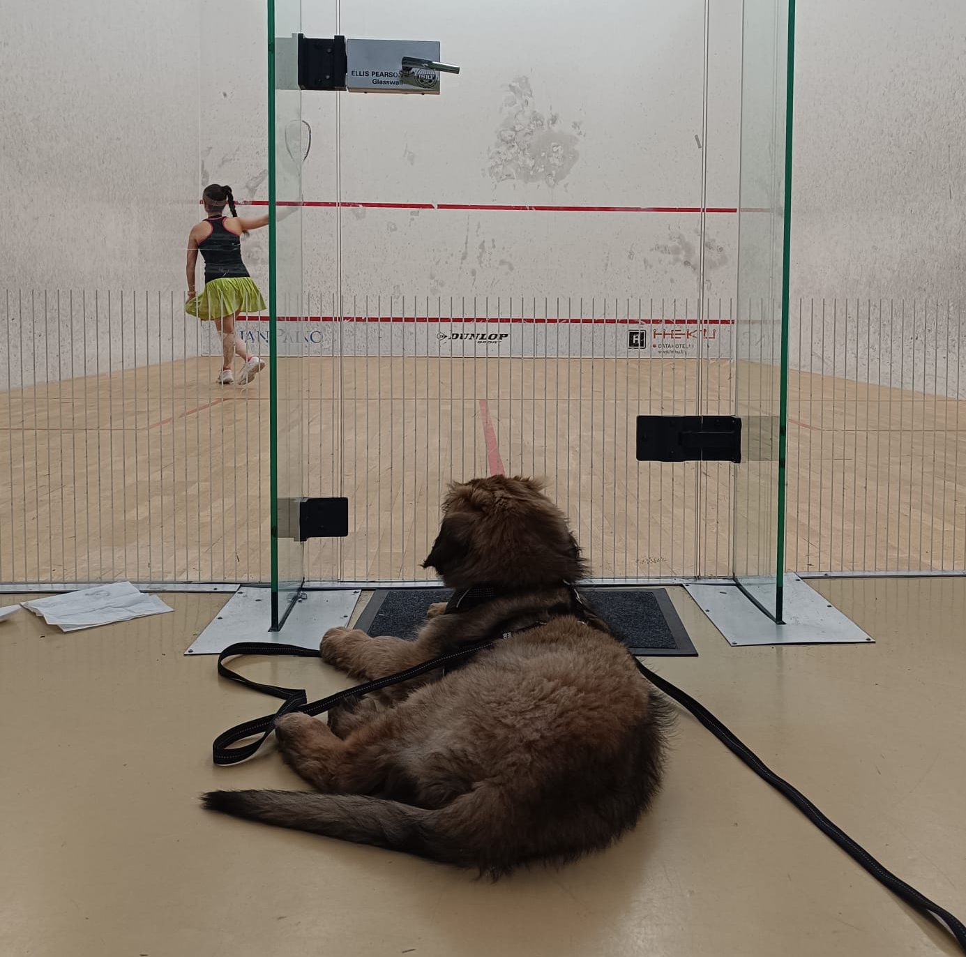 Read more about the article HSRC naiset kauden 2026 viimeisellä liigakierroksella